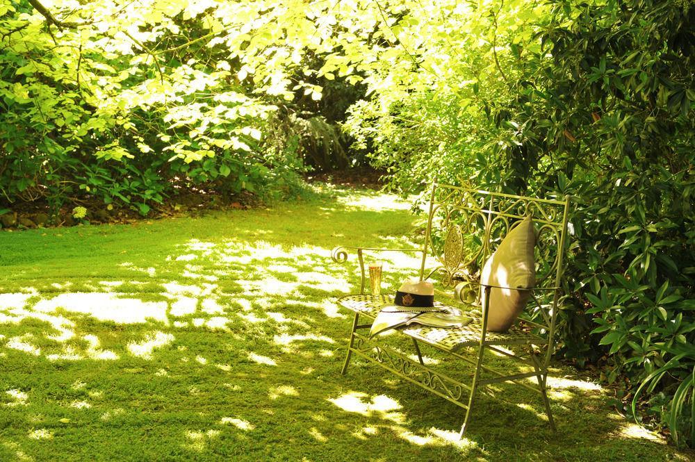 Clarendon Cottages Sassafras المظهر الخارجي الصورة