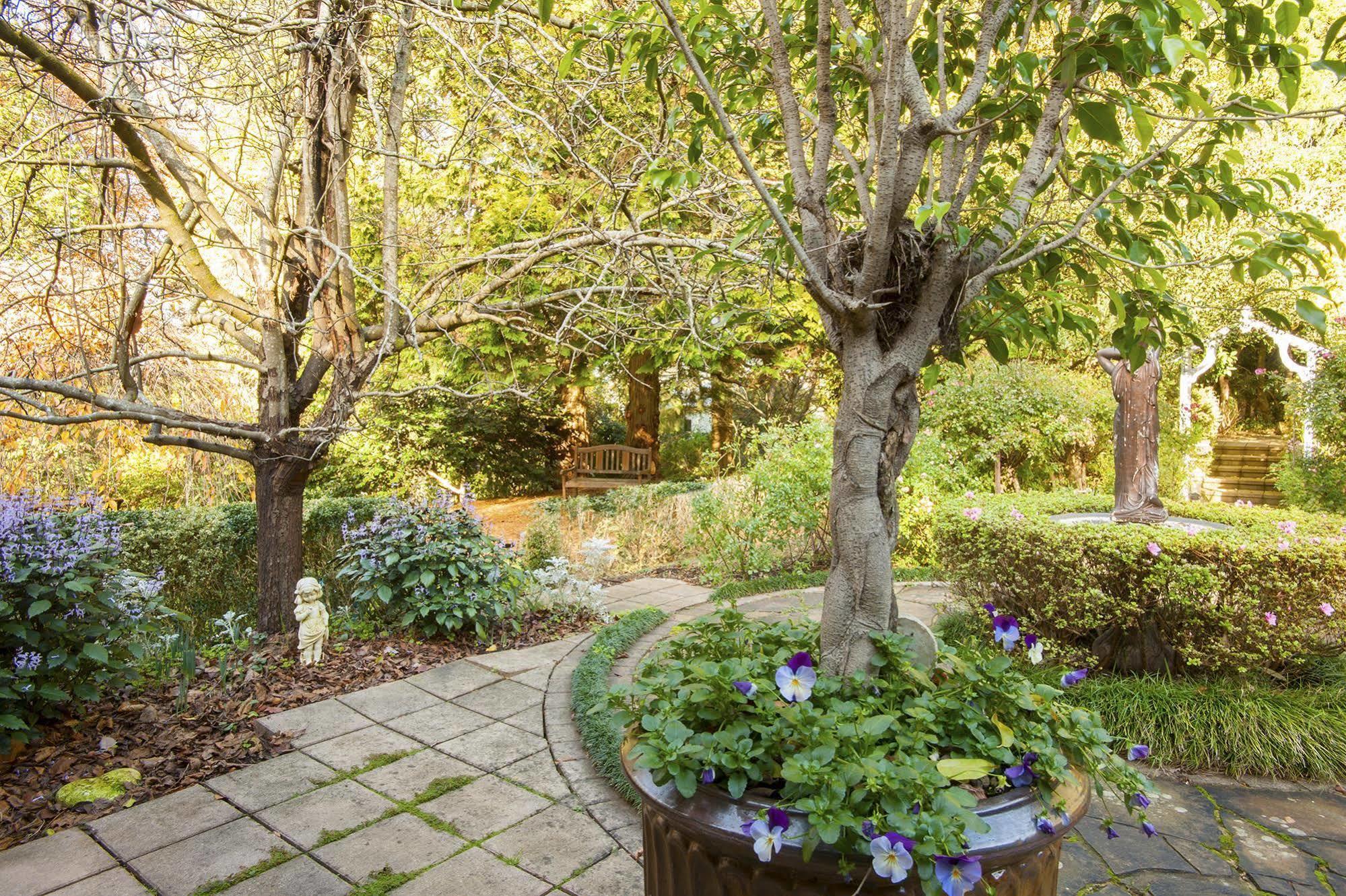 Clarendon Cottages Sassafras المظهر الخارجي الصورة