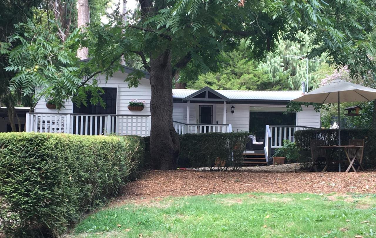 Clarendon Cottages Sassafras المظهر الخارجي الصورة