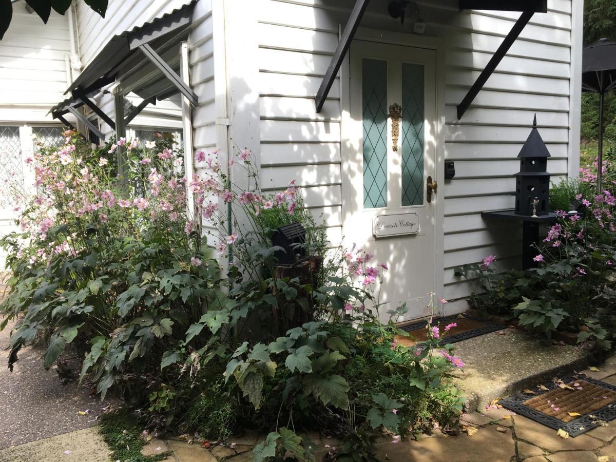 Clarendon Cottages Sassafras المظهر الخارجي الصورة